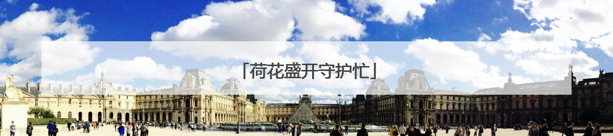 荷花盛开守护忙
