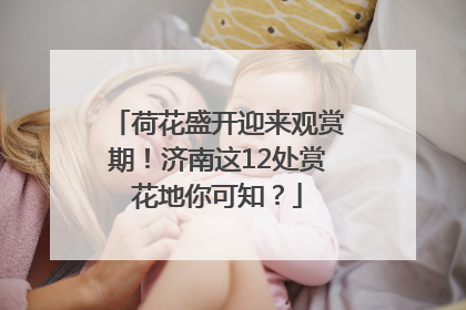 荷花盛开迎来观赏期！济南这12处赏花地你可知？
