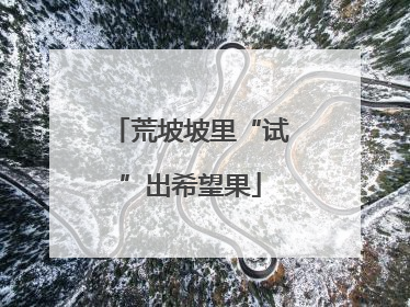 荒坡坡里“试”出希望果