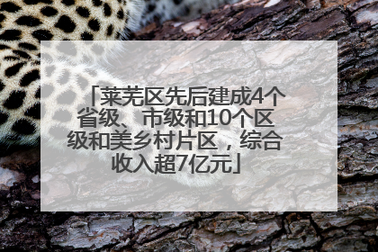 莱芜区先后建成4个省级、市级和10个区级和美乡村片区，综合收入超7亿元
