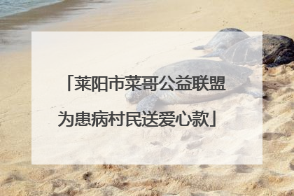 莱阳市菜哥公益联盟为患病村民送爱心款
