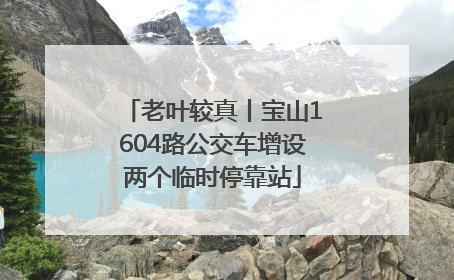 老叶较真丨宝山1604路公交车增设两个临时停靠站