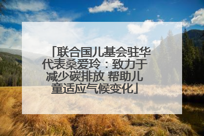 联合国儿基会驻华代表桑爱玲：致力于减少碳排放 帮助儿童适应气候变化