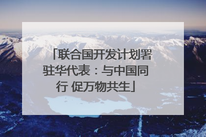 联合国开发计划署驻华代表：与中国同行 促万物共生