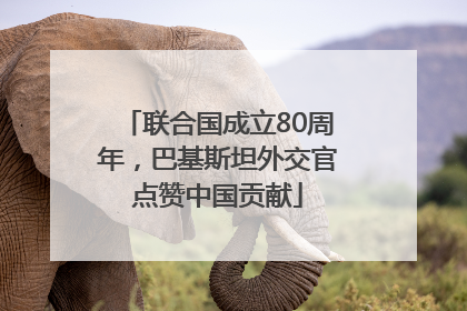 联合国成立80周年，巴基斯坦外交官点赞中国贡献