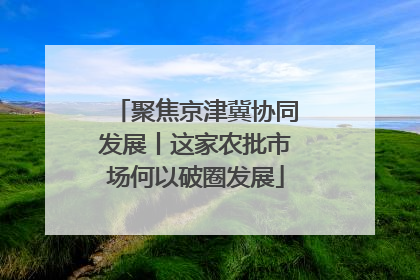 聚焦京津冀协同发展丨这家农批市场何以破圈发展