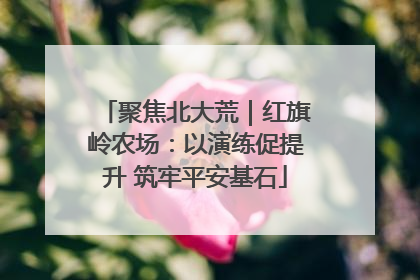 聚焦北大荒｜红旗岭农场：以演练促提升 筑牢平安基石