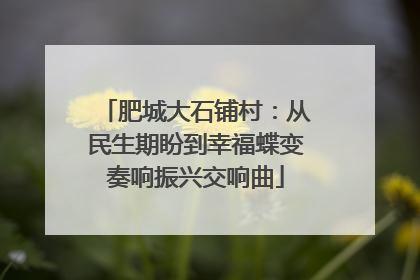 肥城大石铺村：从民生期盼到幸福蝶变奏响振兴交响曲