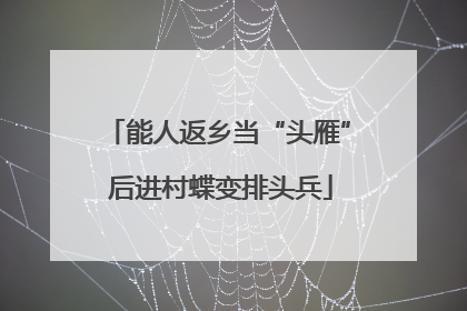 能人返乡当“头雁” 后进村蝶变排头兵