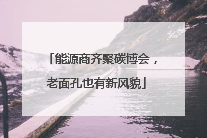 能源商齐聚碳博会，老面孔也有新风貌