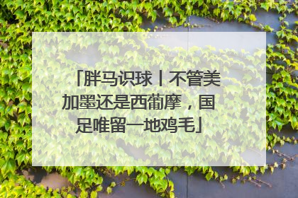 胖马识球丨不管美加墨还是西葡摩，国足唯留一地鸡毛
