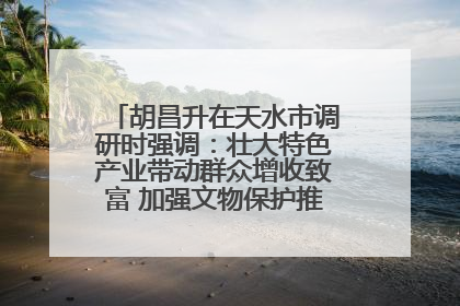 胡昌升在天水市调研时强调：壮大特色产业带动群众增收致富 加强文物保护推动文化创新发展
