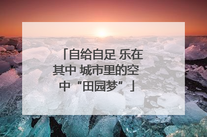 自给自足 乐在其中 城市里的空中“田园梦”