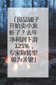 良品铺子开始卖小龙虾了？去年净利润下滑125%，专家称转型极为关键