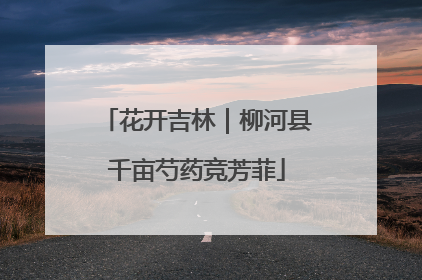 花开吉林｜柳河县千亩芍药竞芳菲