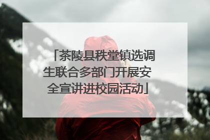 茶陵县秩堂镇选调生联合多部门开展安全宣讲进校园活动