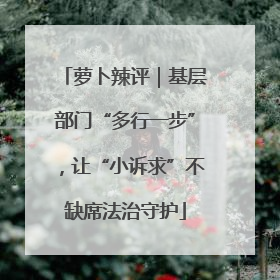 萝卜辣评｜基层部门“多行一步”，让“小诉求”不缺席法治守护