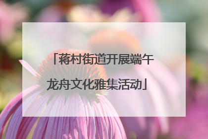 蒋村街道开展端午龙舟文化雅集活动