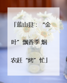 蓝山县：“金叶”飘香季 烟农赶“烤”忙