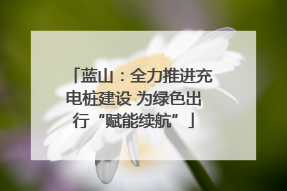 蓝山：全力推进充电桩建设 为绿色出行“赋能续航”