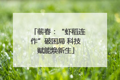 蕲春：“虾稻连作”破困局 科技赋能焕新生