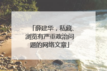 薛建华，私藏、浏览有严重政治问题的网络文章
