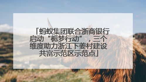 蚂蚁集团联合浙商银行启动“栀梦行动”，三个维度助力浙江下姜村建设共富示范区示范点