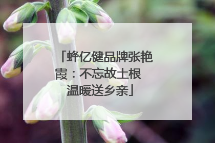 蜂亿健品牌张艳霞：不忘故土根 温暖送乡亲