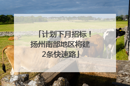 计划下月招标！扬州南部地区将建2条快速路