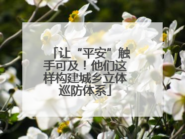 让“平安”触手可及！他们这样构建城乡立体巡防体系