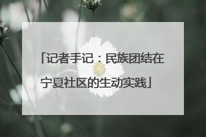记者手记：民族团结在宁夏社区的生动实践