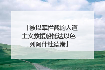 被以军拦截的人道主义救援船抵达以色列阿什杜德港
