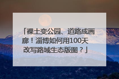 裸土变公园、道路成画廊！淄博如何用100天改写路域生态版图？