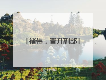 褚伟，晋升副部