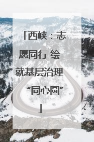 西峡：志愿同行 绘就基层治理“同心圆”