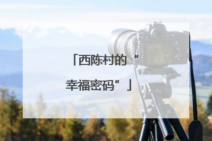 西陈村的“幸福密码”