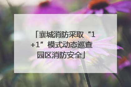 襄城消防采取“1+1”模式动态巡查园区消防安全