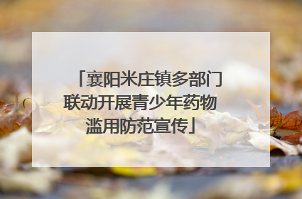 襄阳米庄镇多部门联动开展青少年药物滥用防范宣传