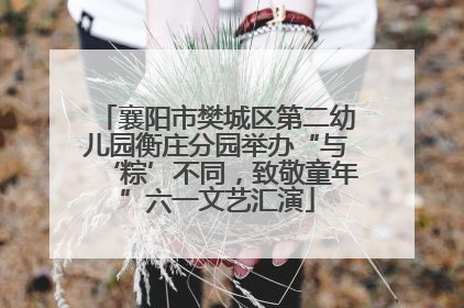 襄阳市樊城区第二幼儿园衡庄分园举办“与‘粽’不同，致敬童年”六一文艺汇演