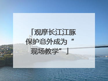 观摩长江江豚保护意外成为“现场教学”