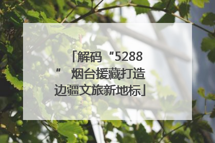 解码“5288” 烟台援藏打造边疆文旅新地标
