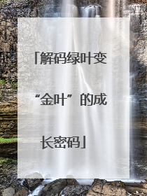 解码绿叶变“金叶”的成长密码