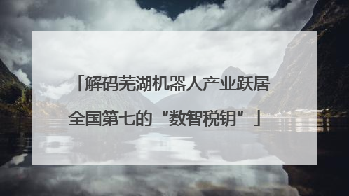 解码芜湖机器人产业跃居全国第七的“数智税钥”