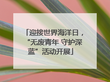 迎接世界海洋日，“无废青年 守护深蓝”活动开展