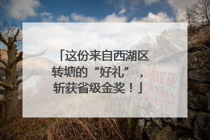 这份来自西湖区转塘的“好礼”，斩获省级金奖！