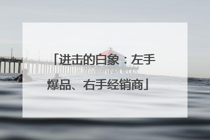 进击的白象：左手爆品、右手经销商
