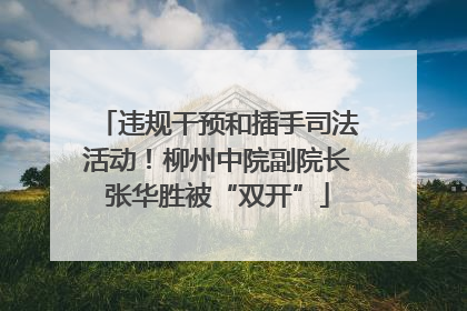 违规干预和插手司法活动！柳州中院副院长张华胜被“双开”