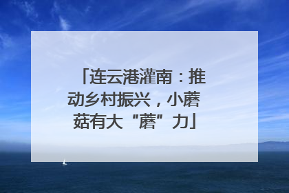 连云港灌南：推动乡村振兴，小蘑菇有大“蘑”力