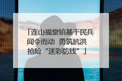 连山福堂镇基干民兵闻令而动  勇筑抗洪抢险“迷彩防线”