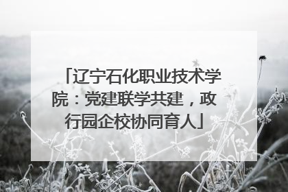 辽宁石化职业技术学院：党建联学共建，政行园企校协同育人